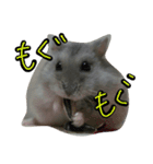 まんまる劇場♪（個別スタンプ：3）