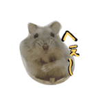 まんまる劇場♪（個別スタンプ：4）