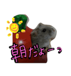 まんまる劇場♪（個別スタンプ：6）