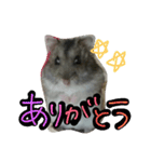 まんまる劇場♪（個別スタンプ：10）