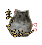 まんまる劇場♪（個別スタンプ：11）