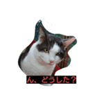 まったりチビ（個別スタンプ：1）