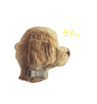 雑版01（個別スタンプ：8）
