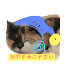 ごまニャン（個別スタンプ：3）