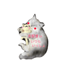 cat mofumofu（個別スタンプ：2）