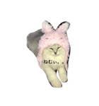 cat mofumofu（個別スタンプ：7）