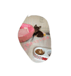 色々写真です！（個別スタンプ：4）