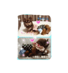 色々写真です！（個別スタンプ：6）