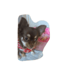 色々写真です！（個別スタンプ：14）