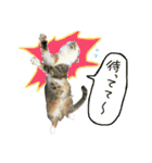 うにのかわいめスタンプ（個別スタンプ：11）