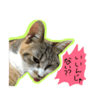 うにのかわいめスタンプ（個別スタンプ：15）
