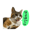 うにのかわいめスタンプ（個別スタンプ：39）