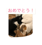 rin10yukichi（個別スタンプ：1）