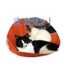 rin10yukichi（個別スタンプ：7）