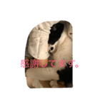 rin10yukichi（個別スタンプ：9）