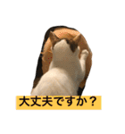 rin10yukichi（個別スタンプ：13）