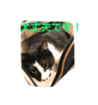 rin10yukichi（個別スタンプ：14）