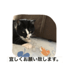 rin10yukichi（個別スタンプ：16）