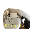 rin10yukichi（個別スタンプ：18）