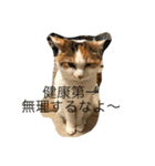 rin10yukichi（個別スタンプ：22）