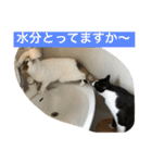 rin10yukichi（個別スタンプ：23）