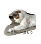 rin10yukichi（個別スタンプ：27）