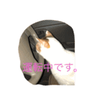 rin10yukichi（個別スタンプ：30）