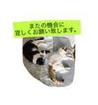 rin10yukichi（個別スタンプ：32）