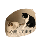 rin10yukichi（個別スタンプ：34）