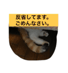 rin10yukichi（個別スタンプ：36）