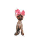 cubie（個別スタンプ：8）