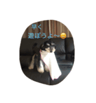 ポッキ〜くん（個別スタンプ：1）