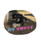 ポッキ〜くん（個別スタンプ：4）
