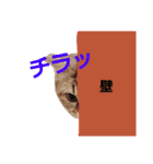 リアルねこ ふわもふミトン（個別スタンプ：1）