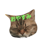 リアルねこ ふわもふミトン（個別スタンプ：3）