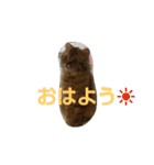 リアルねこ ふわもふミトン（個別スタンプ：4）