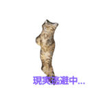 リアルねこ ふわもふミトン（個別スタンプ：15）