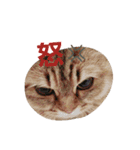 リアルねこ ふわもふミトン（個別スタンプ：20）