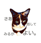茶トラと三毛猫の仲良し40スタンプ（個別スタンプ：6）