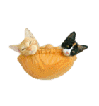 茶トラと三毛猫の仲良し40スタンプ（個別スタンプ：16）