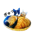 茶トラと三毛猫の仲良し40スタンプ（個別スタンプ：25）