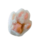 茶トラと三毛猫の仲良し40スタンプ（個別スタンプ：29）