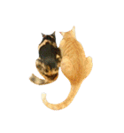 茶トラと三毛猫の仲良し40スタンプ（個別スタンプ：30）