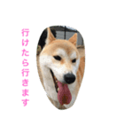 roku stamp（個別スタンプ：5）