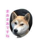 roku stamp（個別スタンプ：7）