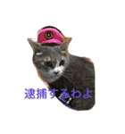 プティ（個別スタンプ：6）