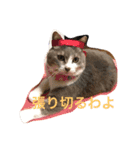 プティ（個別スタンプ：8）