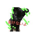 Cat-Club 2（個別スタンプ：9）