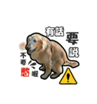 A＆K magic（個別スタンプ：17）