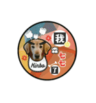 A＆K magic（個別スタンプ：19）